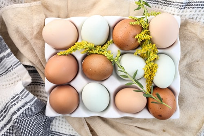 tips memilih telur yang bernutrisi oleh jadilaper.com