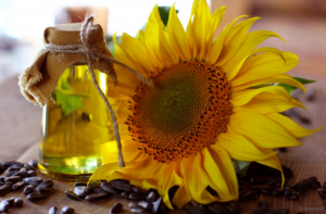 ulasan pengganti minyak goreng, minyak bunga matahari oleh jadilaper.com