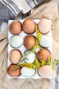 mengolah telur sehat oleh jadilaper.com
