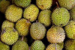 Ilustrasi buah durian. (Sumber: Pixabay)