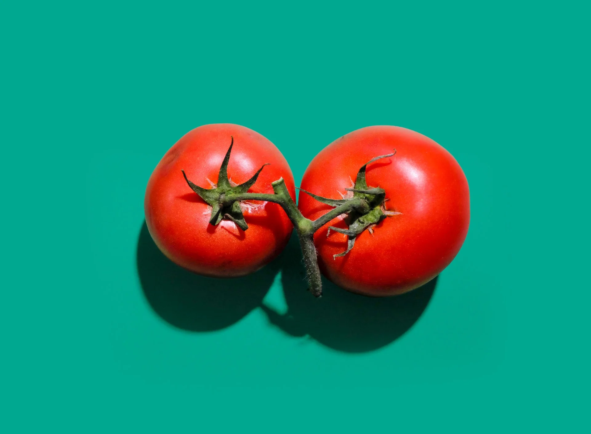 manfaat tomat bagi tubuh