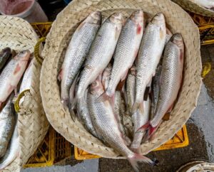 Yuk Ketahui, Ini Dia 6 Manfaat Konsumsi Ikan Laut untuk Kesehatan