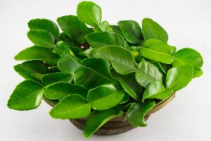 manfaat konsumsi daun jeruk