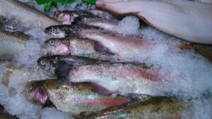 tips mengolah seafood frozen