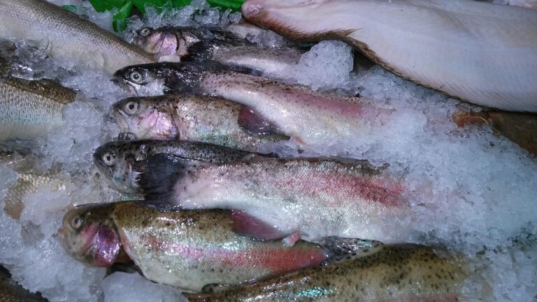 5 Tips Mengolah Seafood Frozen agar Tetap Segar dan Lezat Saat Dikonsumsi