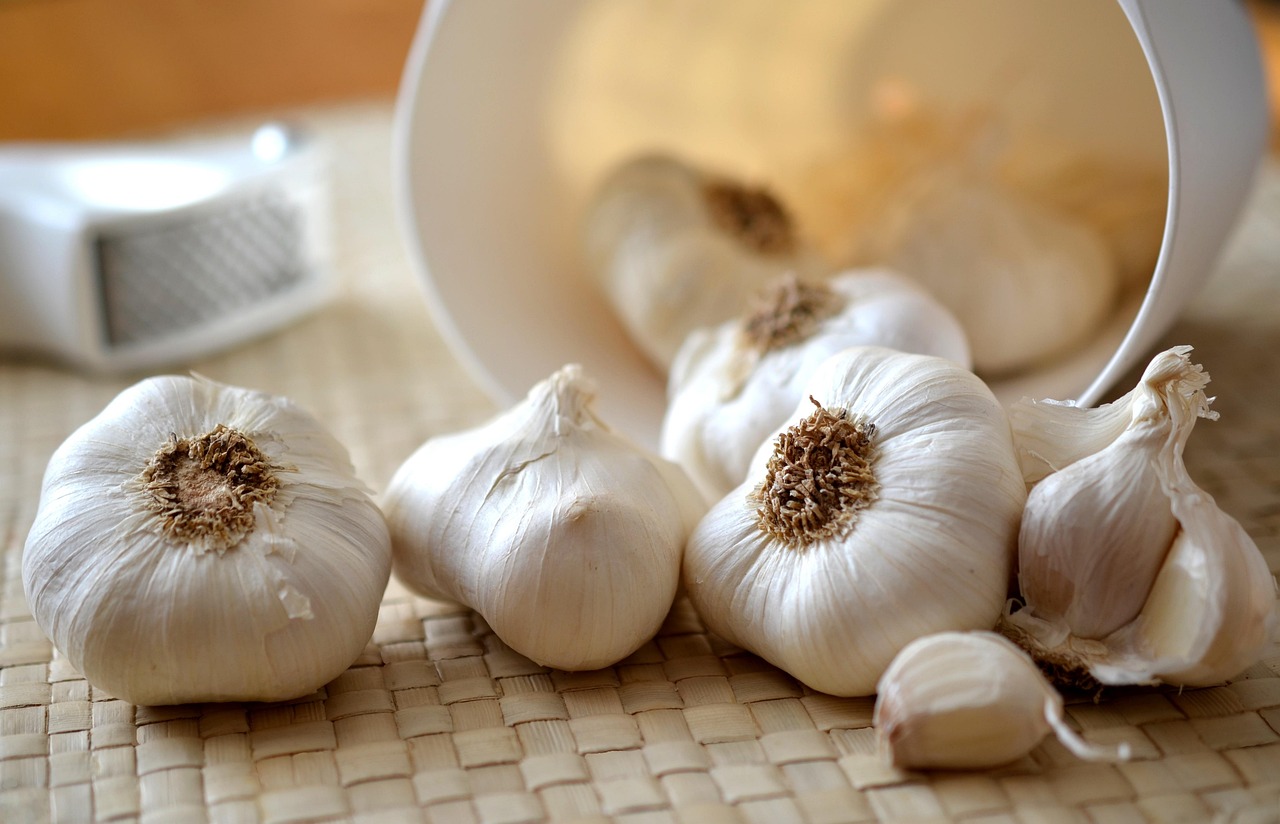 bumbu rempah ajaib untuk diet