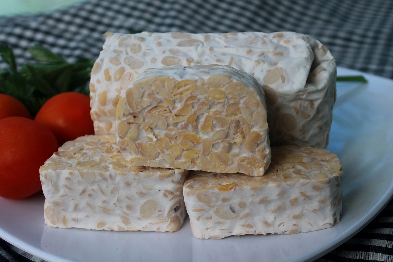 makanan fermentasi asli Indonesia